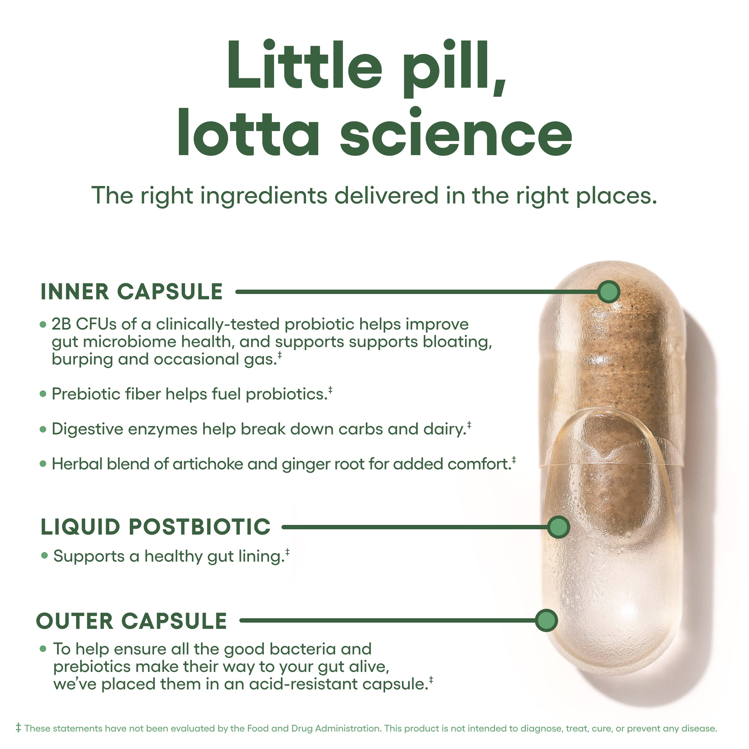 Bloat + Gas Probiotic